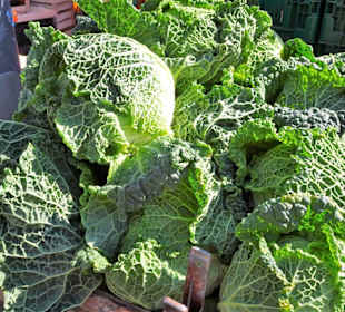 Rundgang über den Wochenmarkt Südermarkt 