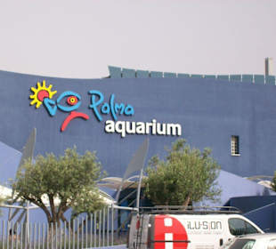Aquarium in Palma