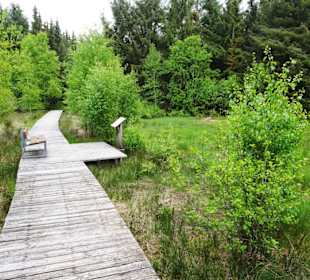 Rundweg durch das Ahlenmoor