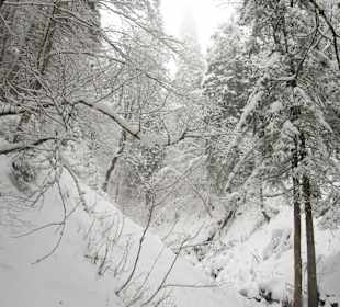 Snow filled Gulley