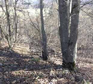 Ödenburg Oberstetten