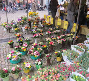 Altstadt Freiburg Markt am Münster