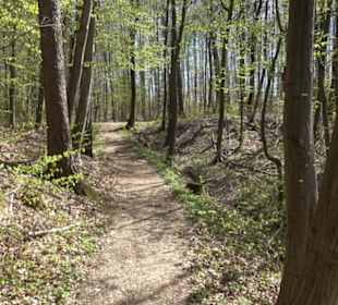 Wanderung Florianrunde
