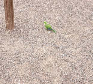 Leuchtturm Morro Jable