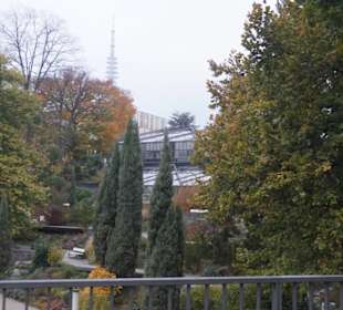 Parkanlage Planten un Blomen