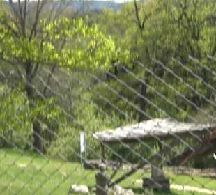 Römisches Freilichtmuseum Hechingen-Stein