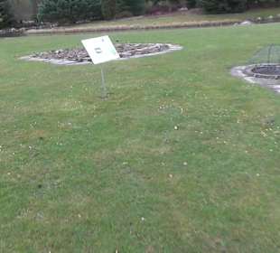 Botanischer Garten
