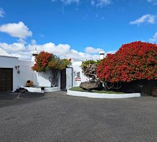 Stiftung Cesar Manrique