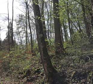 Wanderweg Hochgehswiggert