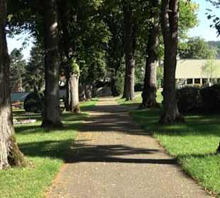 Friedhof