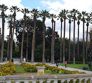 National Garten Athen - Eingangsbereich