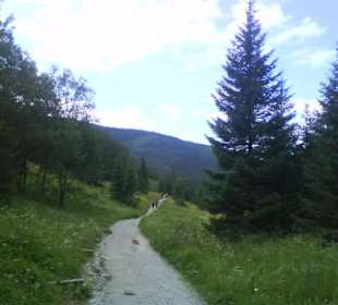 Tatrzański Park Narodowy