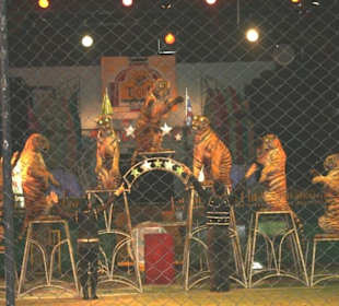 Tigershow