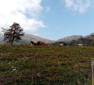 Wandern Rubiana