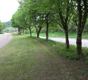 Wanderparkplatz Wasen