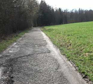 Gomaringer Rundweg - Zu den Giganten im Wald