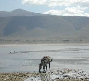 Ngorongoro Nationalpark
