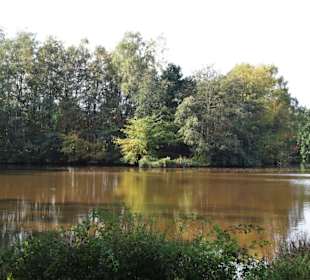 Impressionen vom Spaziergang am Drielaker See