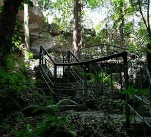 Ausflug zum National Park Los Tres Ojos mit Andy
