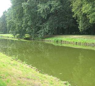 Park przy Pałacu w Nieborowie