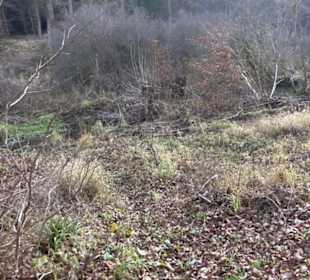 Schönbuch Schaichtal