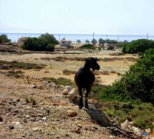 Blick auf den Strand