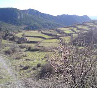 Terrassenbewirtschaftung im Taurusgebirge