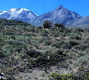 Pampa Cañahuas