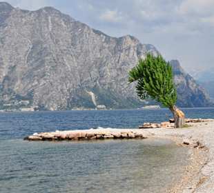 Am Kiesstrand