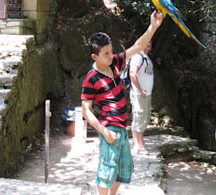 Für Geld gibts Fotos mit Ara