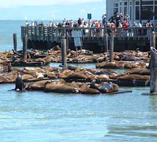 Pier 39