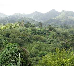 Grand Etang Nationalpark
