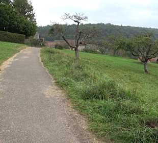 Altwege Rundwanderung Bebenhausen