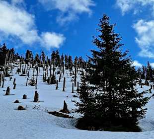 Wandern Rabenstein-Bodenmais