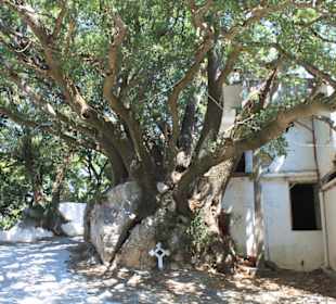 Monastery of Kroustallenia
