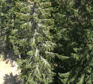 Naturparkzentrum Ruhestein