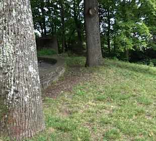 Aussichtspunkt Hasenberganlage