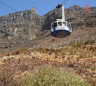 Wanderung auf denTafelberg