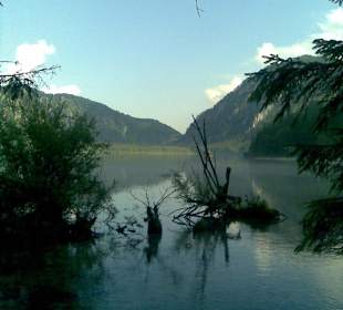 Wunder der Natur