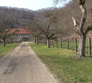 Wasserfallsteig