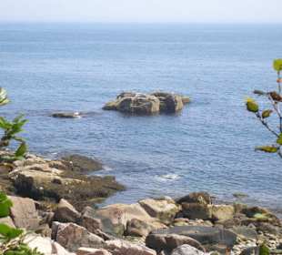 Acadia Nationalpark bei Bar Harbor