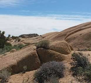 Joshua Tree National Park