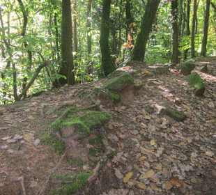 Auf dem Weg zur Madenburg