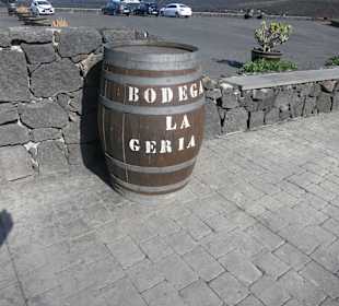 Weinfelder in La Geria 