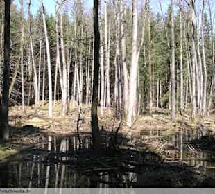 Berg Tierpark in Blindham (Aying)