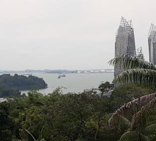 Ausblick