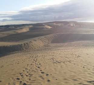 Dünen von Maspalomas