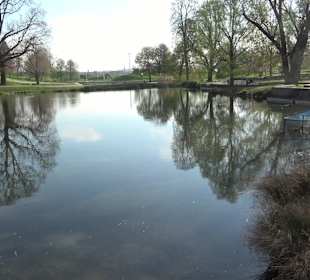 Nymphensee Stuttgart