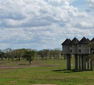 Sarova Salt Lick Game Lodge in Taita Hills