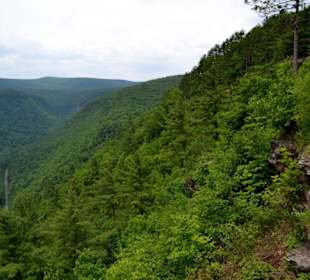 Pine Creek Gorge, Wellsboro, Pennsylvania